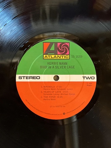 MannBirdInASilverCage