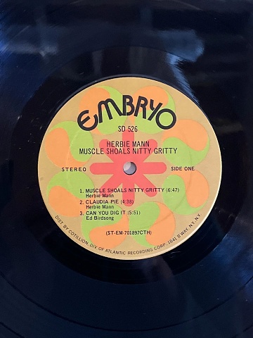 MannMuscleShoalsNittyGritty